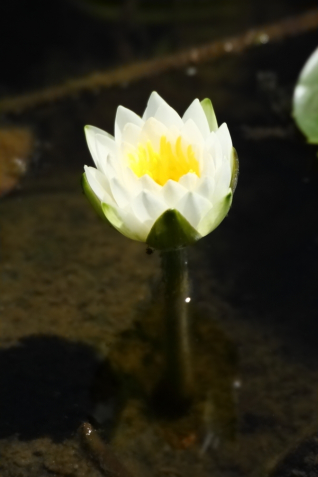 2013 08 25 HTP 03913